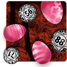 Promozione Bingo Live Zonagioco